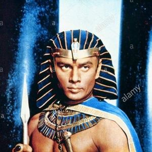 Meet your Posher, Robert